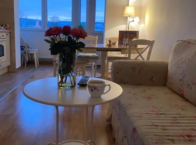 Ubytování v soukromí Rose Peony Kluž