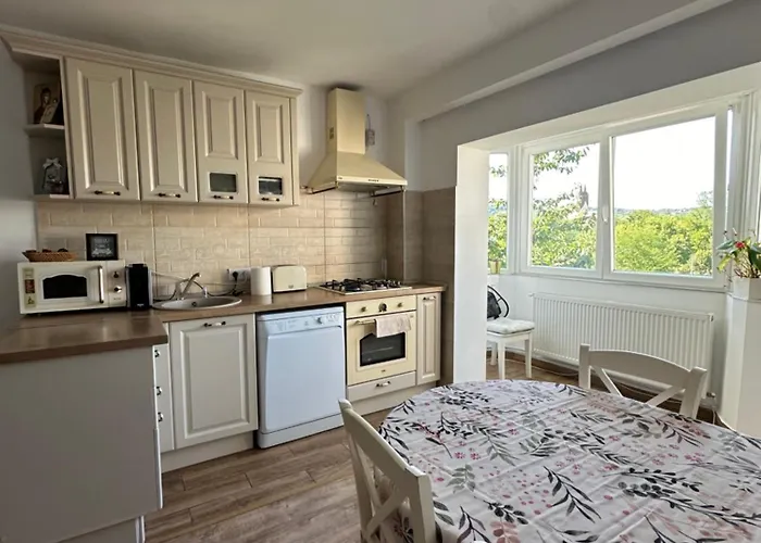 Rose Peony ホームステイ クルージュ＝ナポカ