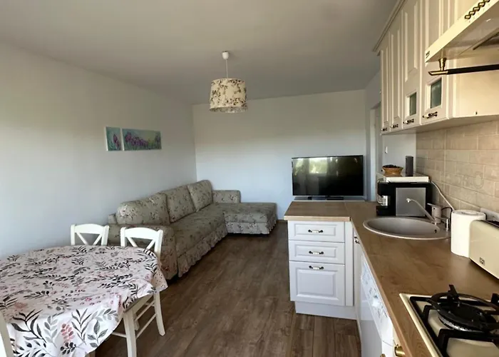 Rose Peony Cluj-Napoca